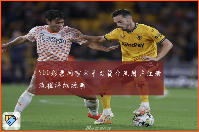 500彩票网官方平台简介及用户注册流程详细说明